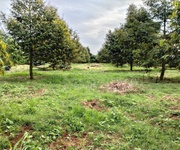 Cơ hội vàng đầu tư   đất mặt tiền tp.hcm  brvt cũ