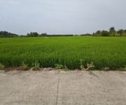 3 Bán gấp lô đất lúa gần trục động lực giá 1,2 tỷ