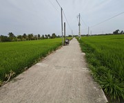 4 Bán gấp lô đất lúa gần trục động lực giá 1,2 tỷ