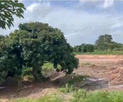 Chính chủ bán đất Châu Thành, Đồng Tháp - Diện tích: 4242m2