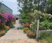 Đất phú quốc giảm 30 so với khu vực - chính chủ cần bán gấp