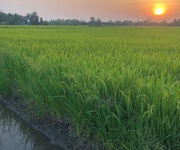 Hot hot - cần bán lô đất tại xã tân nhựt,  bình chánh, hcm  xã tân nhựt, tp.hcm mới