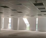 2 Cho thuê văn phòng 100m2 - hơn 800m2 - 6th Element 2 Cho thuê văn phòng 100m2 - hơn 800m2 - 6th Element