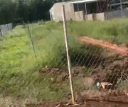 Bán đất sào   tàu ô, hớn quản, bình phước  giá đầu tư cực rẻ chỉ 550tr