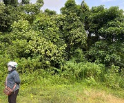 1 Bán 1.8ha đất nông nghiệp có sẵn dòng tiền 500tr/năm 1 Bán 1.8ha đất nông nghiệp có sẵn dòng tiền 500tr/năm