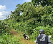 3 Bán 1.8ha đất nông nghiệp có sẵn dòng tiền 500tr/năm 3 Bán 1.8ha đất nông nghiệp có sẵn dòng tiền 500tr/năm