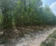 Bán gấp 1.800m2 tại vĩnh thanh, nhơn trạch, đồng nai, giá 2,2 triệu/m2