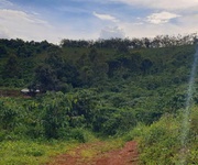 Bán đất rẫy 4,04 ha   full cà phê   bắc gia nghĩa, lâm đồng