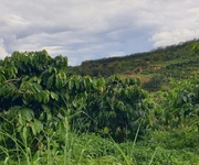 2 Bán đất rẫy 4,04 ha full cà phê bắc gia nghĩa, lâm đồng 2 Bán đất rẫy 4,04 ha full cà phê bắc gia nghĩa, lâm đồng