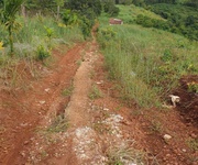 3 Bán đất rẫy 4,04 ha full cà phê bắc gia nghĩa, lâm đồng 3 Bán đất rẫy 4,04 ha full cà phê bắc gia nghĩa, lâm đồng