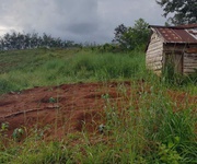 4 Bán đất rẫy 4,04 ha full cà phê bắc gia nghĩa, lâm đồng 4 Bán đất rẫy 4,04 ha full cà phê bắc gia nghĩa, lâm đồng