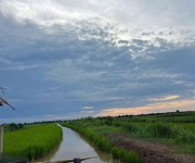 Chính chủ cần bán 2,6 mẫu đất ruộng nuôi quảng canh xen lúa