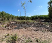 Đất trang trại view đẹp   hòa nhơn, hòa vang, đà nẵng