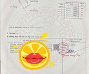 Đất đẹp Quý Kim Nam Đồ Sơn, Hải Phòng 98m, cách Phạm Văn Đồng chỉ 200m