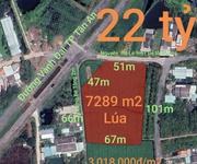 Bán gấp lô đất lúa chuyển thổ đường vành đai tân an giá 22 tỷ