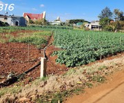 Cắt lỗ bán nhanh lô đất siêu đẹp tại tutra xã đơn dương, lâm đồng