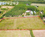 2 Đất chính chủ ngay kcn hiệp thạnh