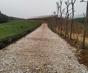 4 Bán đất nghỉ dưỡng thanh sơn - phú thọ