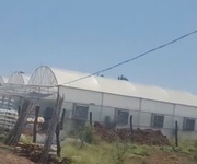 Bán nhà vườn 1000m2  đức trọng   lâm đồng - giá 3 tỷ 250 triệu