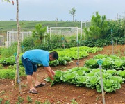 1  ĐẤT nghỉ dưỡng VIEW HỒ   LÀNG OMM BẢO LỘC