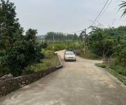 Đất đẹp tân an   cương sơn   lục nam giá chỉ 480 triệu