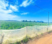 6 sào hẻm DH2 n thôn hạ, đức trọng cũ, lâm đồng