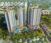 Chính chủ cần bán cc bcons solary, 400 triệu  20 , dt 47.03 m2, 2pn   1wc, giá 1,753 tỷ