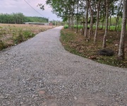 3 Cần bán đất gò dầu, tây ninh giá 2.75 tỷ