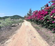 Bán đất biển Dốc Lết - Đông Cát - Ninh Hải Ninh Hòa 142m2 giá tổng 4.5ty