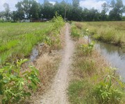 Cần bán 4789m2 đất lúa giá đầu tư hẻm xe máy