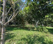 Bán lô đất 4860m2   450m2 thổ cư  tại phường thống nhất -  hoà bình   nay là tỉnh phú thọ