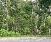 Bán 4987m2 đất mặt tiền lý nam đế, tân phước, lagi giá ngộp 3.6 tỷ