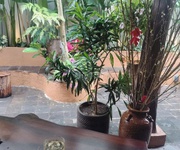 Bán lô đất đẹp 120m2, 164, Đường Phạm Thị Lam Anh, Phường Hòa Khánh Nam, Liên Chiểu, ĐN