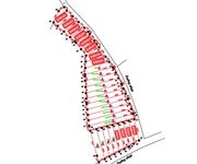 CHỈ 2XX TRIỆU   Đón sóng đất AN BÌNH trước khi tăng giá