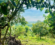 Đất Bảo Lộc Hòa Nam