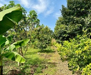 1 Đất Bảo Lộc Hòa Nam