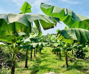 3 Đất Bảo Lộc Hòa Nam