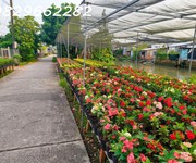 Đất nền sa đéc đồng tháp - phạm hồng thái. 308m2, sổ hồng, hướng tây nam, giá 2 tỷ.