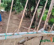 Cần bán gấp lô đất TDP Hy Tái, Phường An Hải   An Dương cũ , TP Hải Phòng