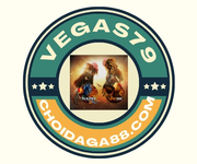 Chơi đá gà thomo trực tuyến uy tín top 1 Google