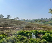 ĐẤT nghỉ dưỡng VIEW HỒ   LÀNG OMM BẢO LỘC