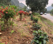 Chính chủ bán đất siêu đẹp   quang trung, tp. hà giang