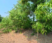 3 Đất view sông - sát bên cầu bình khánh  .