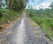 Đất lúa ấp 6 bình đức bến lức - dt : 2000m2   1 tỷ 6 hết diện tích