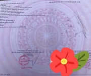 3 Đất lúa ấp 6 bình đức bến lức - dt : 2000m2   1 tỷ 6 hết diện tích