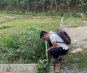 2xx tr   hàng đang có người gom, không phải ai cũng biết