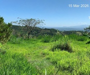 Bán nhanh đất nghỉ dưỡng homestay   lâm đồng giá tốt