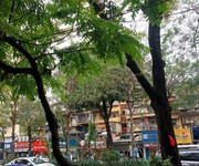 Bán liền kề láng hạ,giarng võ dt110m2, mặt tiền rộng 7,5  tầng, vị trí đẹp hàng hiếm