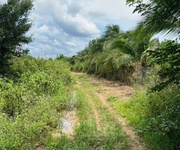 Bán gấp 2 sào đất phú ngọc   định quán   đồng nai