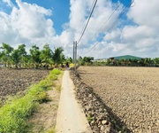 4 Chủ bán thửa đất lúa 877m9m2 khu vực cho lên thổ 4 Chủ bán thửa đất lúa 877m9m2 khu vực cho lên thổ